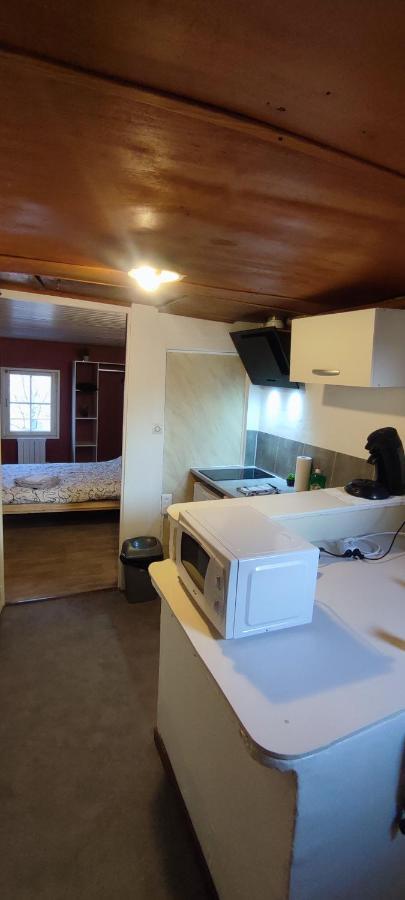 Studio Hypercentre A 2 Pas De La Gare. Appart N°3 Agen Eksteriør billede